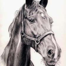 Cross stitch pattern: #548128