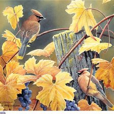 Cross stitch pattern: #548210