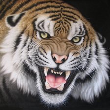 Cross stitch pattern: #548497
