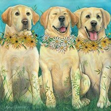Cross stitch pattern: #548570