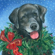 Cross stitch pattern: #548575