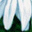 Preview of cross stitch pattern: #548581