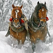 Cross stitch pattern: #548673