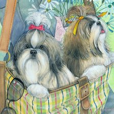 Cross stitch pattern: #548792