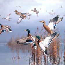 Cross stitch pattern: #548995