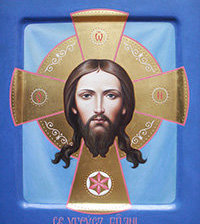 Cross stitch pattern: #549503