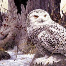 Cross stitch pattern: #549764