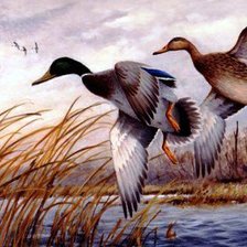 Cross stitch pattern: #549773