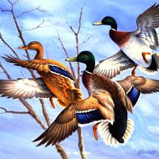 Cross stitch pattern: #549775