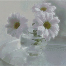 Cross stitch pattern: #549798
