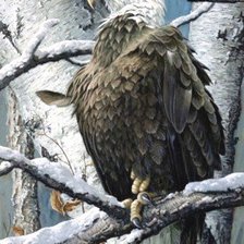 Cross stitch pattern: #549803