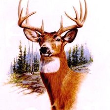 Cross stitch pattern: #549823