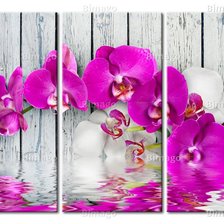 Cross stitch pattern: #550081