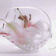 Cross stitch pattern: #550140