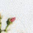 Preview of cross stitch pattern: #550293