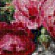 Preview of cross stitch pattern: #550406