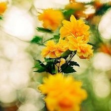 Cross stitch pattern: #550452