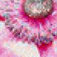 Preview of cross stitch pattern: #550709