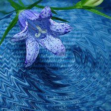Cross stitch pattern: #550716