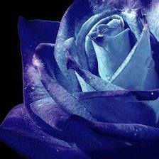 Cross stitch pattern: #550754