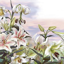 Cross stitch pattern: #550837