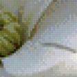 Preview of cross stitch pattern: #550839