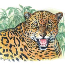 Cross stitch pattern: #551248
