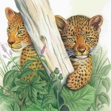 Cross stitch pattern: #551293