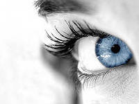 Cross stitch pattern: #551449