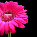 Cross stitch pattern: #551471