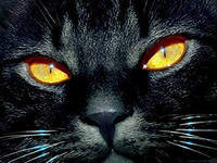 Cross stitch pattern: #551565