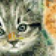 Preview of cross stitch pattern: #551664