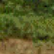 Preview of cross stitch pattern: #551917