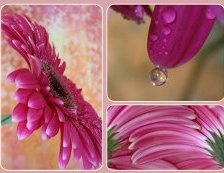 Cross stitch pattern: #552196