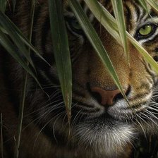 Cross stitch pattern: #552402