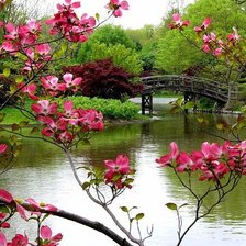 Cross stitch pattern: #552501