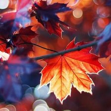 Cross stitch pattern: #552579