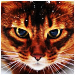 Cross stitch pattern: #552736