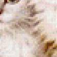 Preview of cross stitch pattern: #552755