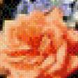 Preview of cross stitch pattern: #552797