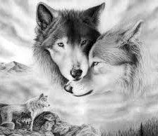 Cross stitch pattern: #553000