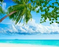 Cross stitch pattern: #553014