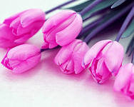 Cross stitch pattern: #553019