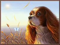 Cross stitch pattern: #553020