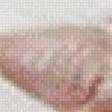 Preview of cross stitch pattern: #553029