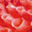 Preview of cross stitch pattern: #553053