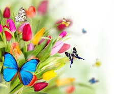 Cross stitch pattern: #553062