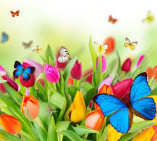Cross stitch pattern: #553063