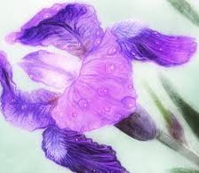 Cross stitch pattern: #553065