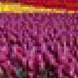 Preview of cross stitch pattern: #553069